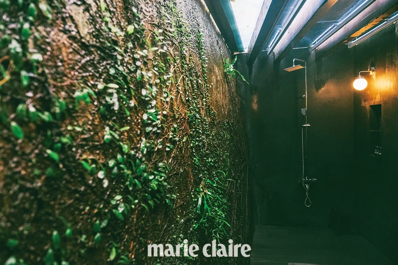 原始生態牆。 原始生態牆。