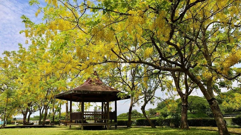 Photo／西拉雅國家風景管理處IG