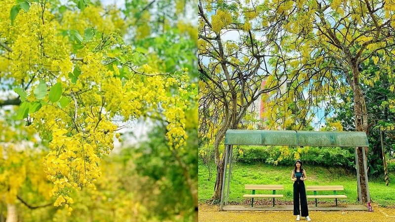 Photo／IG @ ling_yin 授權提供 （圖為2020年拍攝）