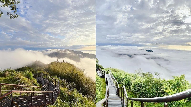 Photo／IG @ osphoebe 授權提供