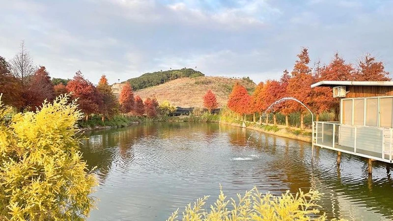 Photo／IG @chih6613 授權提供