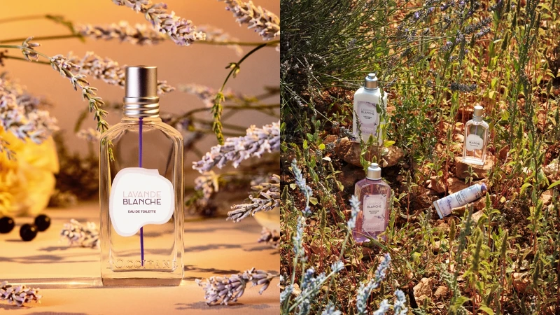 L'OCCITANE歐舒丹白薰衣草限量香氛系列情境圖。 L'OCCITANE歐舒丹白薰衣草限量香氛系列情境圖。