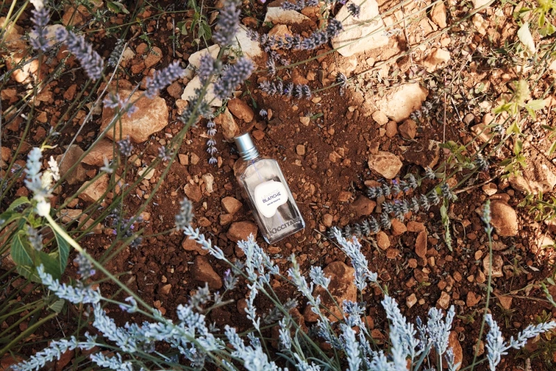 L'OCCITANE歐舒丹白薰衣草淡香水情境圖。 L'OCCITANE歐舒丹白薰衣草淡香水情境圖。