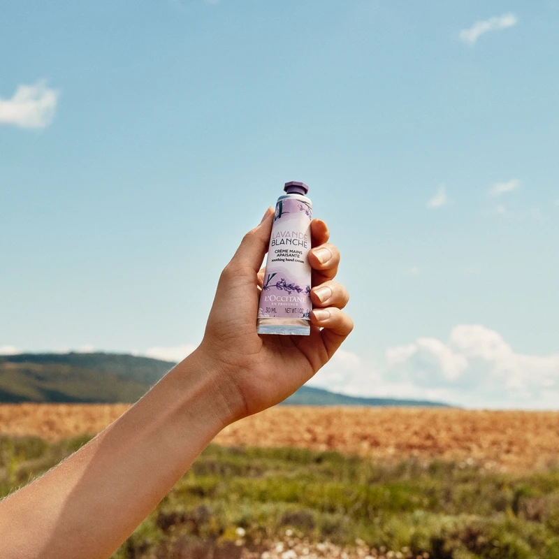 L'OCCITANE歐舒丹白薰衣草護手霜情境圖。 L'OCCITANE歐舒丹白薰衣草護手霜情境圖。