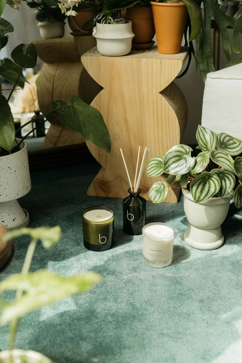 利用用椅凳/花檯將之抬高擺設,改變觀賞視角。 利用用椅凳/花檯將之抬高擺設,改變觀賞視角。