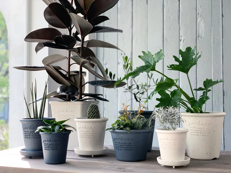 Hachiman Gardens 復古園藝環保盆款式相當多。