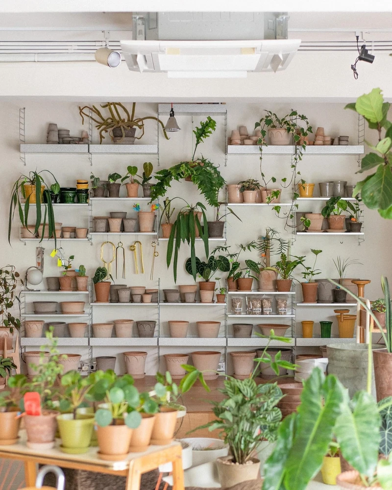 棚屋展示牆空間。