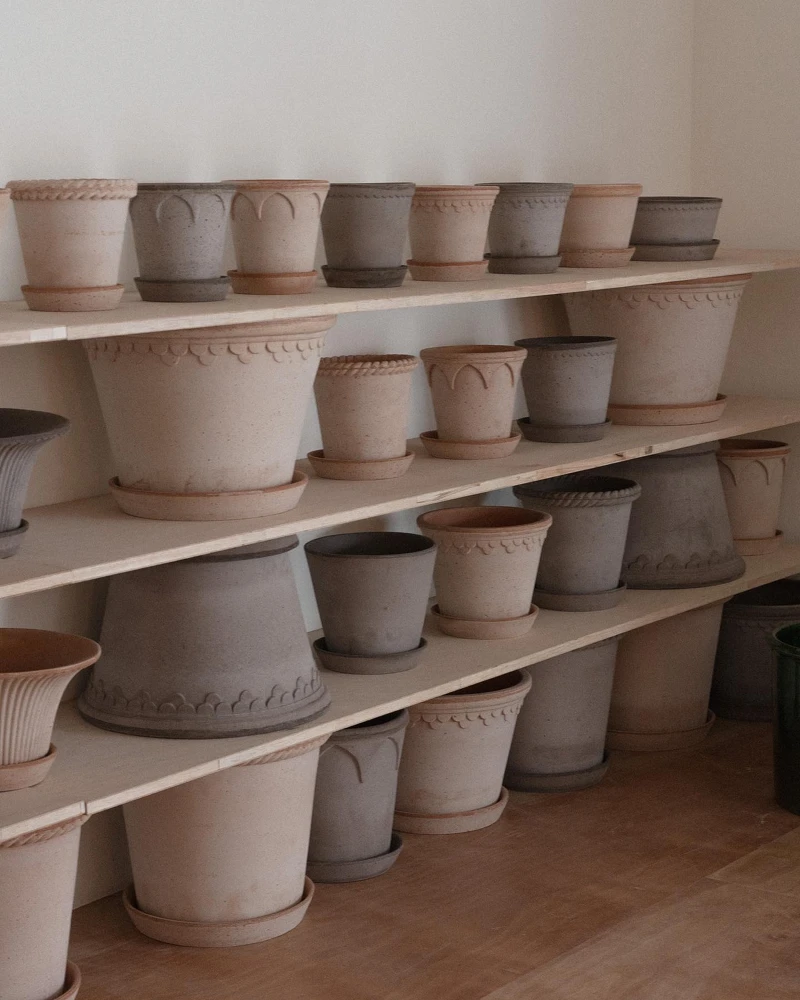 有許多Bergs Potter盆器可供選擇。