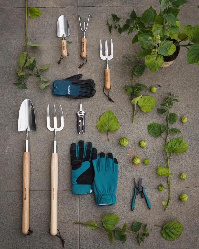 Berry&Bird 的商品包羅萬象。