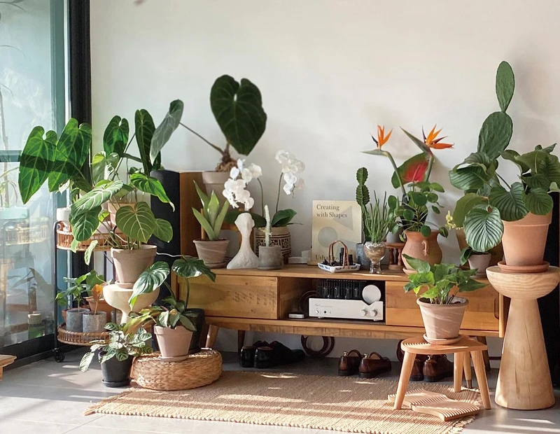 Yuty 家使用大量植栽佈置空間。 Yuty 家使用大量植栽佈置空間。