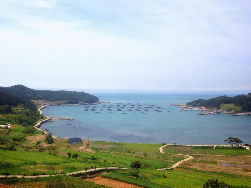 青山島。