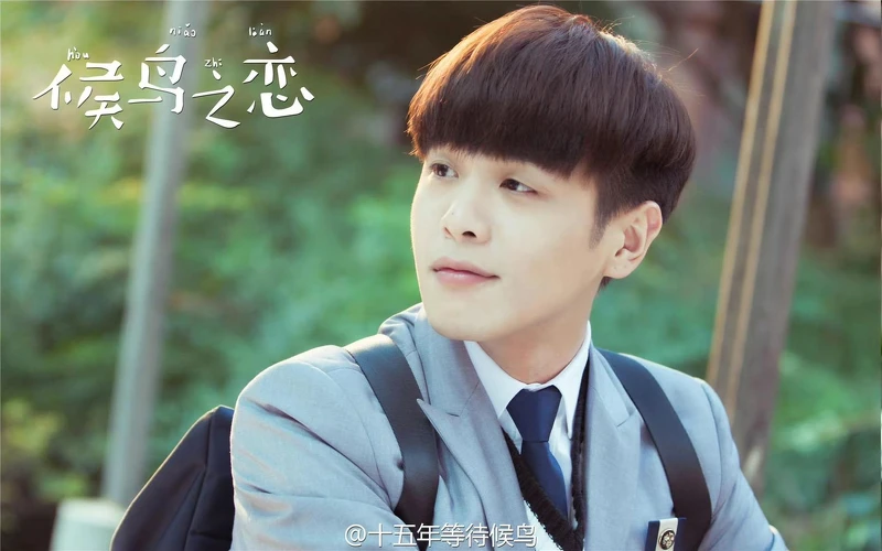 十五年等待候鳥 十五年等待候鳥