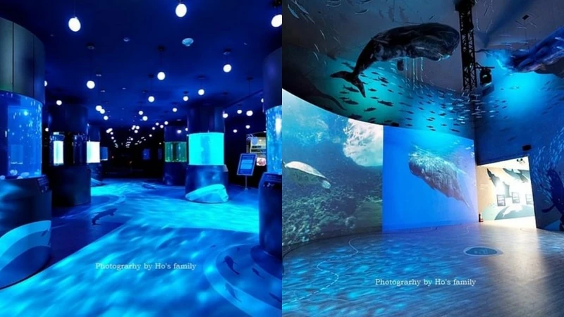 Photo/IG @ ivyoyo822 授權提供 Photo/IG @ ivyoyo822 授權提供