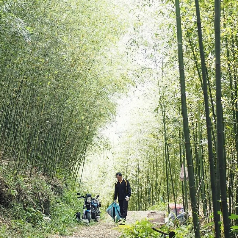 圖/IG@23.5nofficial