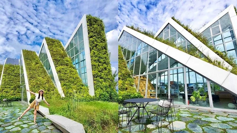 Photo/IG @inling0022 授權提供 Photo/IG @inling0022 授權提供