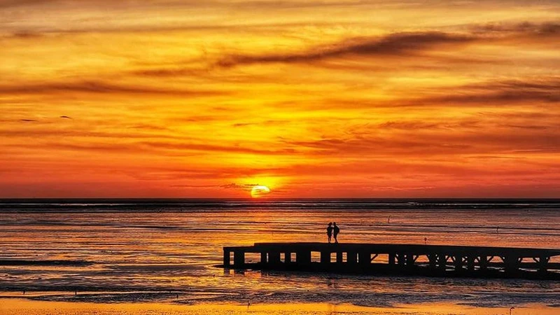 Photo/IG @ nickyoung.huang 授權提供 Photo/IG @ nickyoung.huang 授權提供