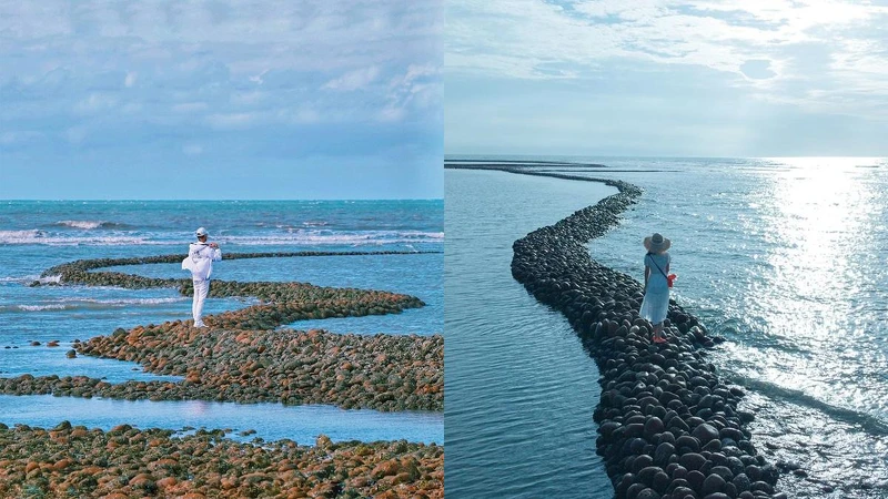 Photo/IG @ sam19671126、IG @ dimensions.colors 授權提供 Photo/IG @ sam19671126、IG @ dimensions.colors 授權提供