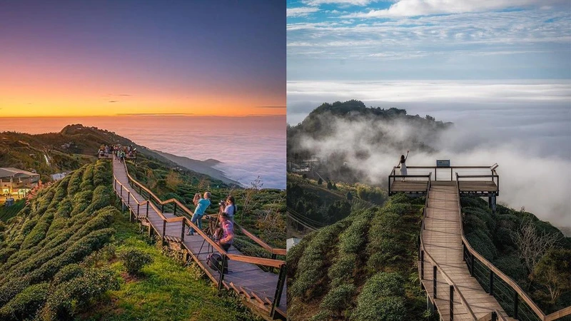 Photo/IG @ taiwan_explorer2019、IG @ sunzhi0616 授權提供 Photo/IG @ taiwan_explorer2019、IG @ sunzhi0616 授權提供