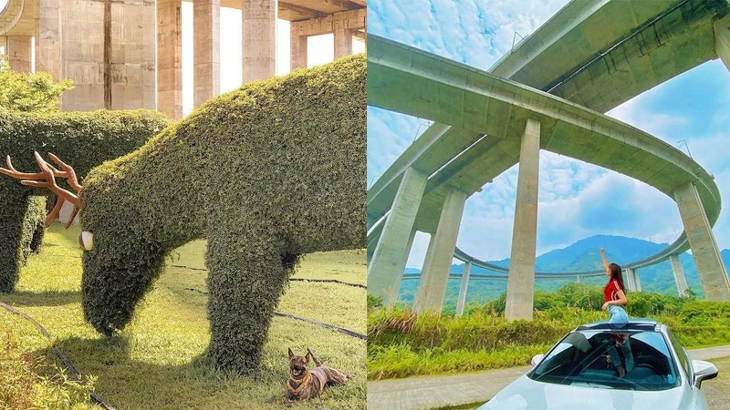 Photo/IG @ ella___and___bafu、IG @ smile.0709 授權提供 Photo/IG @ ella___and___bafu、IG @ smile.0709 授權提供