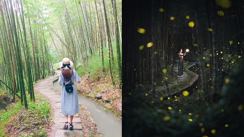 Photo/IG @ yoyolin_n 、IG @ alien.cheng 授權提供 Photo/IG @ yoyolin_n 、IG @ alien.cheng 授權提供