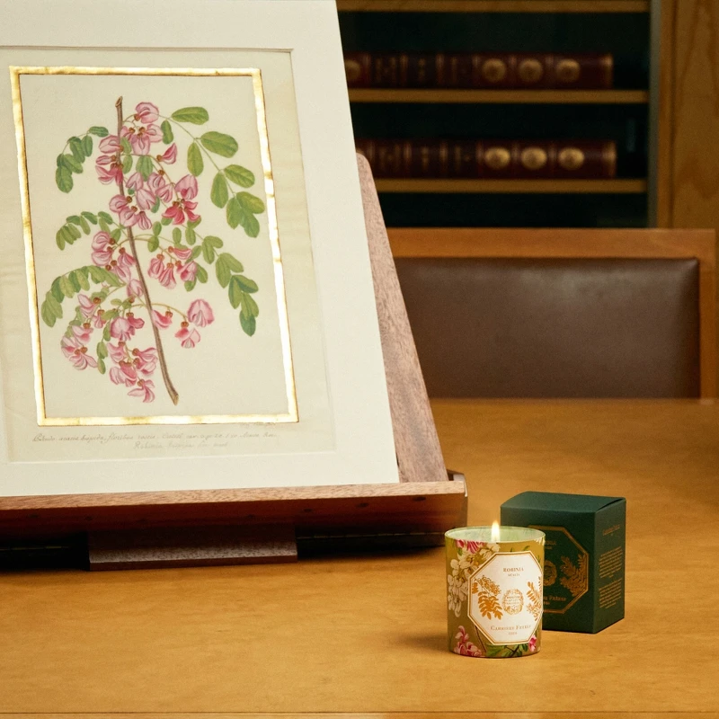 Carrière Frères Acacia刺槐香氛蠟燭。