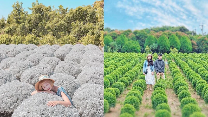 Photo／IG @ butt2fly_ 、IG @ sunlightbai 授權提供