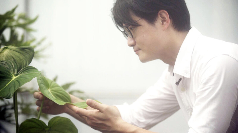 觀葉育種玩家「植子」詹淯松