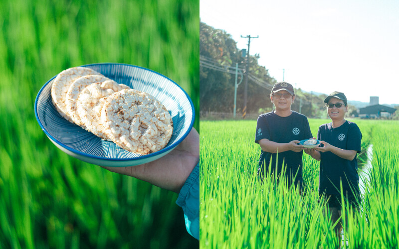 八仙六代園。 八仙六代園。