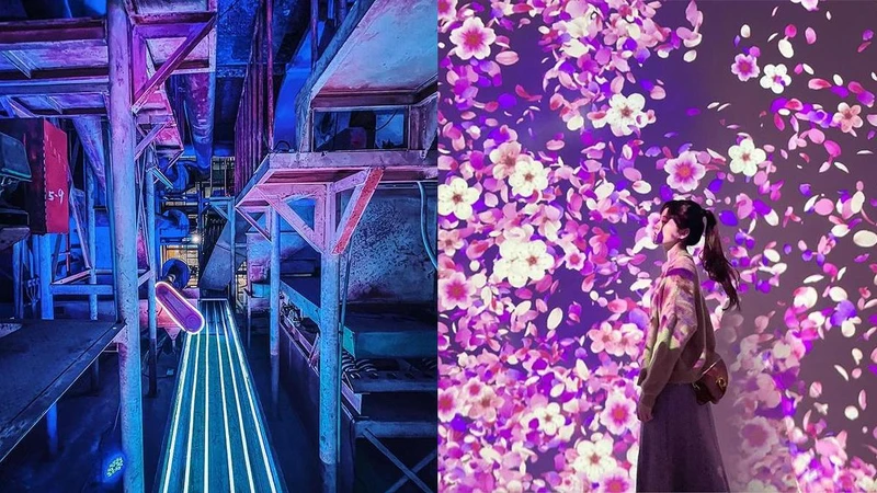 Photo/IG @ p33805726、IG @ lucky112110 授權提供 Photo/IG @ p33805726、IG @ lucky112110 授權提供