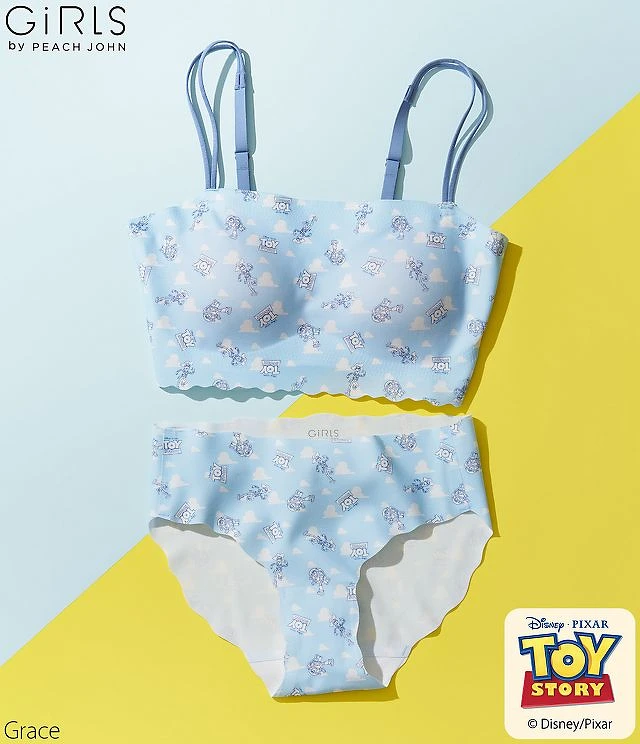 NT 890、NT 390 NT 890、NT 390