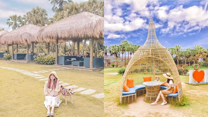 Photo/IG @ yujun0114 、IG @ cyneen 授權提供 Photo/IG @ yujun0114 、IG @ cyneen 授權提供