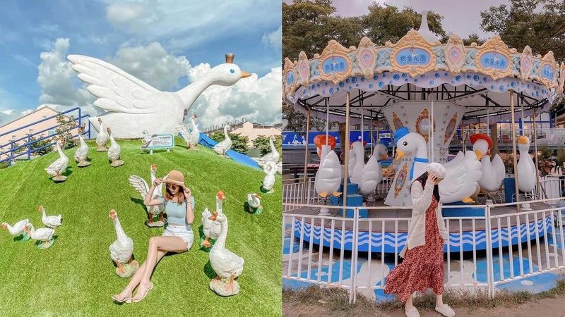 Photo/IG @ yu_3.14、IG @ pinkpony0323 授權提供 Photo/IG @ yu_3.14、IG @ pinkpony0323 授權提供