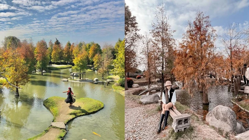 Photo/IG @ yhping1814、IG @ nini82223 授權提供 Photo/IG @ yhping1814、IG @ nini82223 授權提供