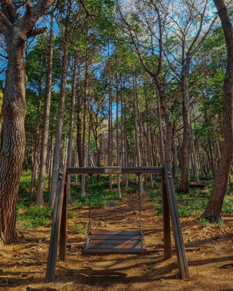 圖片來源/IG@itz_nowourjinhae 圖片來源/IG@itz_nowourjinhae