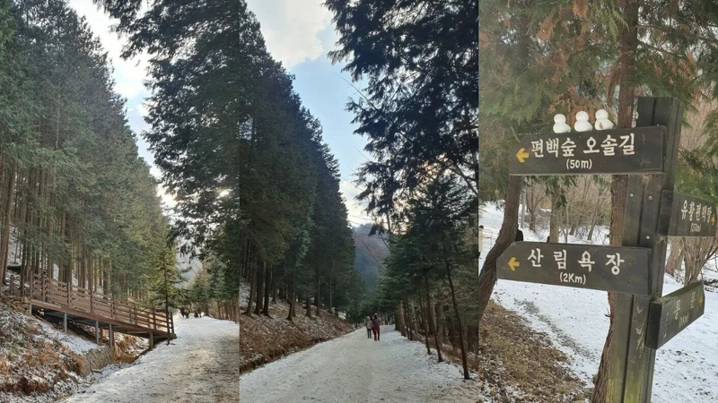 圖片來源/IG_@passion._.tree 圖片來源/IG_@passion._.tree