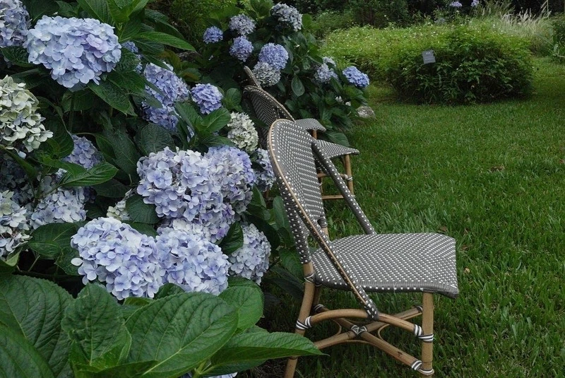 繡球花選在盛開的季節舉辦了一連三天的「夏季游牧Party」。 繡球花選在盛開的季節舉辦了一連三天的「夏季游牧Party」。