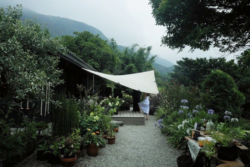 陽明山竹子湖火山口下的西恩花園。 陽明山竹子湖火山口下的西恩花園。