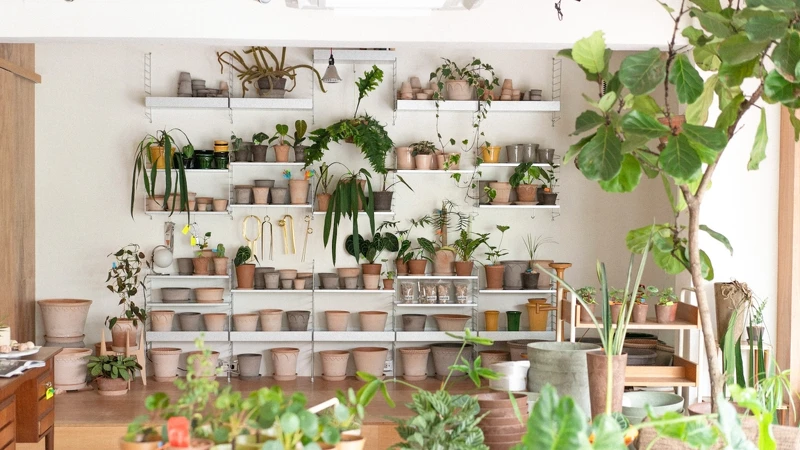 人氣植栽選物店「棚屋 hallo hütte」。 人氣植栽選物店「棚屋 hallo hütte」。