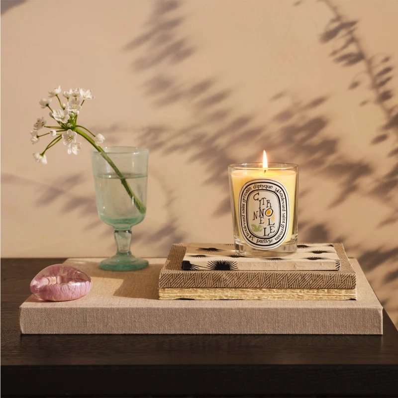 diptyque 2022夏季限量檸檬草香氛蠟燭190g，NT2,100