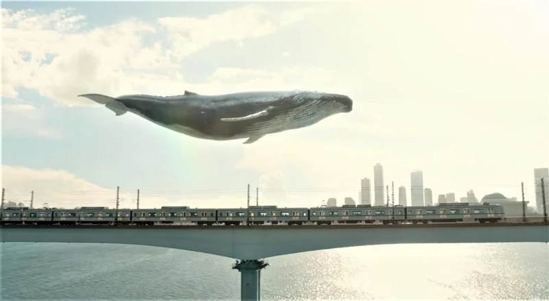 《非常律師禹英禑》陪著英禑上班的鯨魚CG 《非常律師禹英禑》陪著英禑上班的鯨魚CG