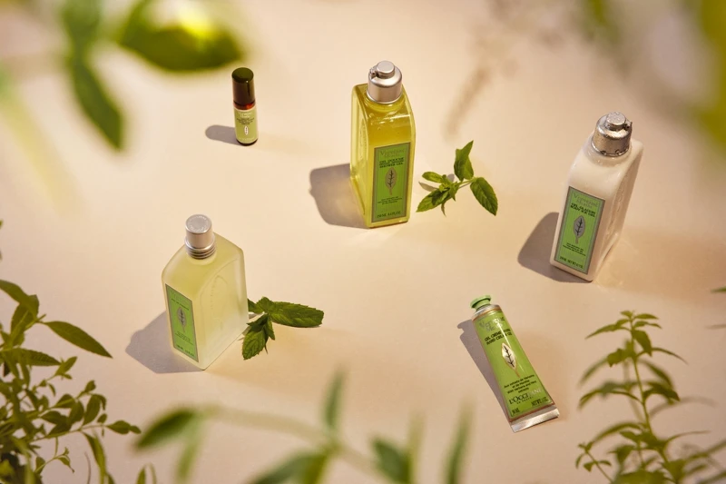 L'OCCITANE歐舒丹薄荷馬鞭草限量香氛系列情境照。