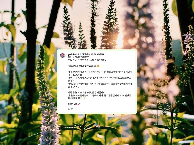 孫藝珍IG分享懷孕喜悅 孫藝珍IG分享懷孕喜悅