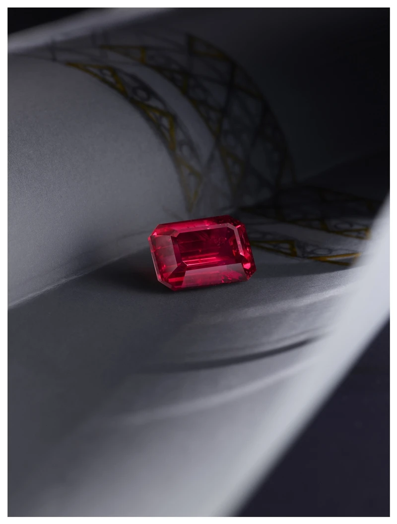 LV頂級珠寶系列《Spirit》系列工藝圖