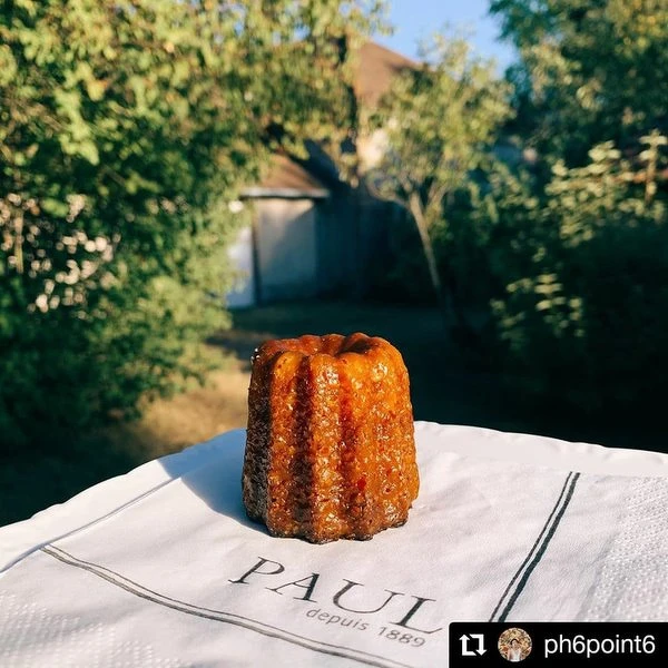 │PAUL Taiwan提供│