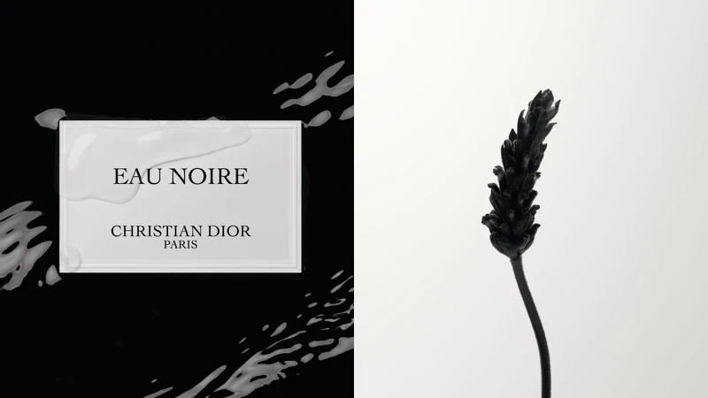 DIOR迪奧香氛世家-黑潮香氛與薰衣草情境圖。