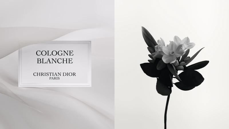 DIOR迪奧香氛世家-晨光古龍香氛與橙花情境圖。