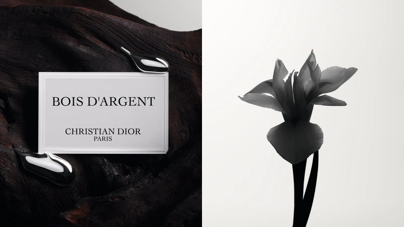DIOR迪奧香氛世家-鑲銀木香氛與鳶尾花情境圖。