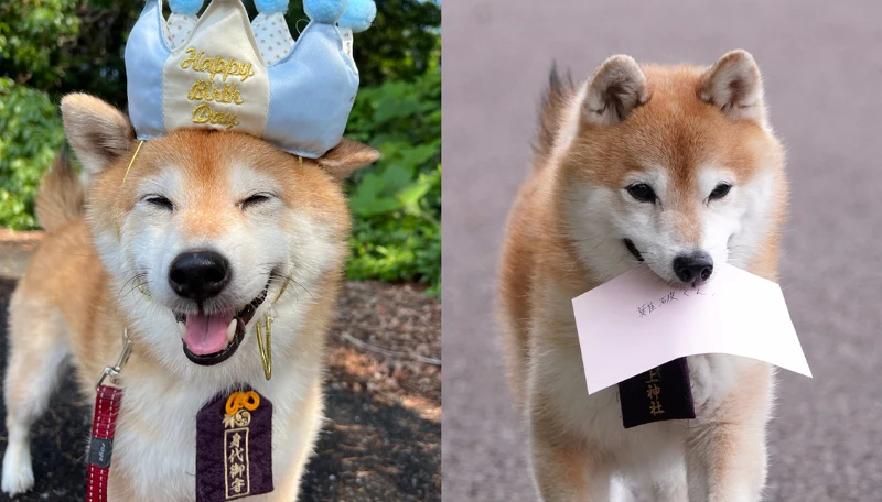 《難破MG5》難破松由豆三郎飾演 ©Fuji TV 