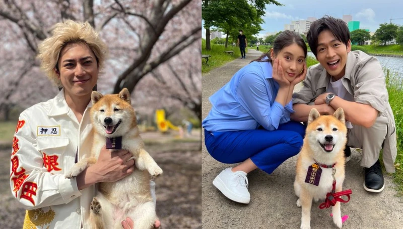 豆三郎與間宮祥太朗 / 客串《麻煩一族》最終回 ©Fuji TV