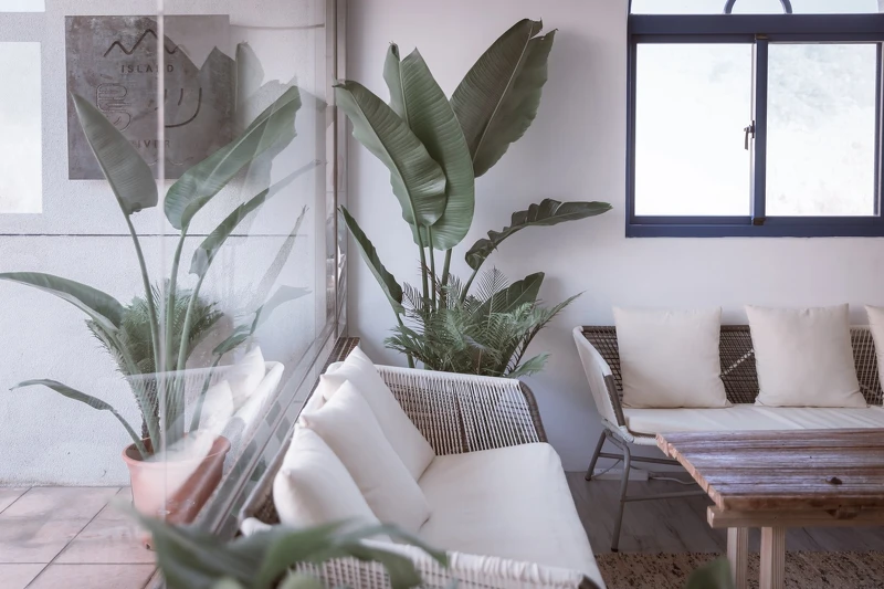 Photo / FB@島川文旅 授權